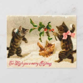 Cats Playing In The Snow Vintage Christmas Holiday Postcard by VictorianWonders at Zazzle