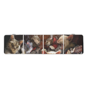 Cats playing poker beer pong table