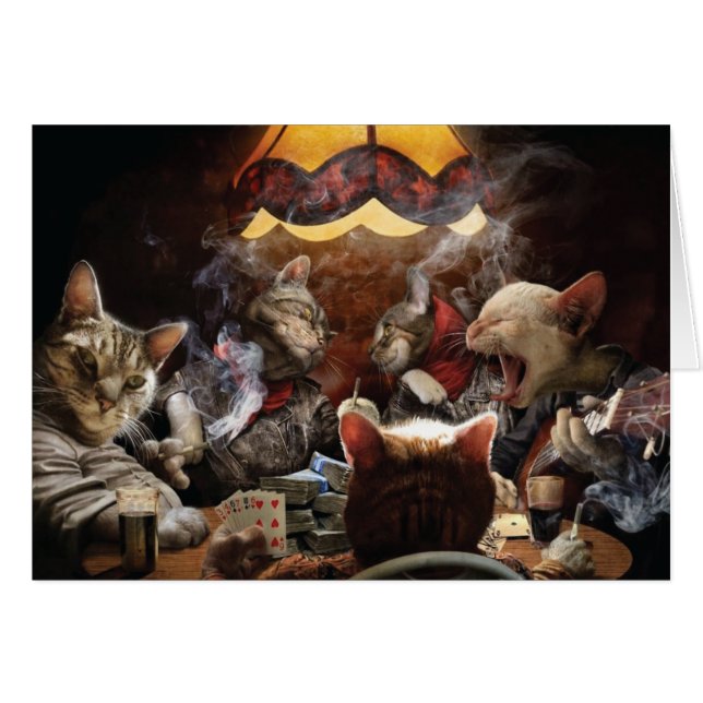 Cats playing poker   cards (Front Horizontal)