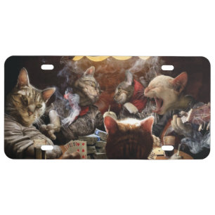 Cats playing poker   license plate