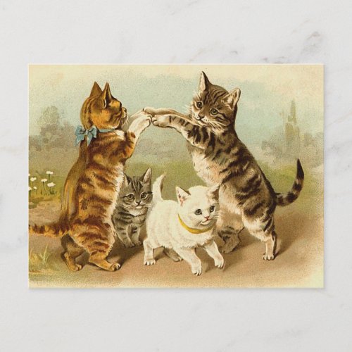 Cats Playing Vintage Illustration Postcard