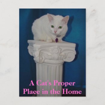 Cat's Proper Place In The Home Postcard by myrtieshuman at Zazzle