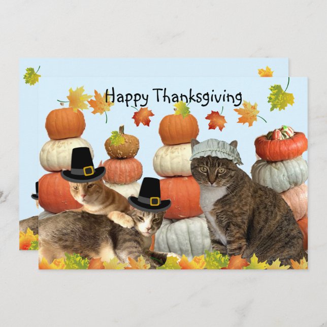 Cats, Pumpkins, and Fall Leaves  (Front/Back)