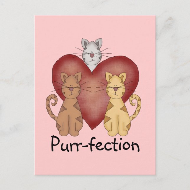 Cats Purr-fection Tshirts and Gifts Postcard (Front)