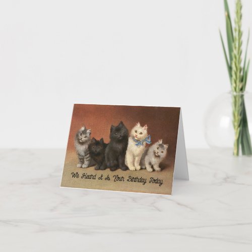 Cats Purrfectly Wonderful Birthday Greeting Card