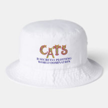CATS R SECRETLY PLOTTING WORLD DOMINATION