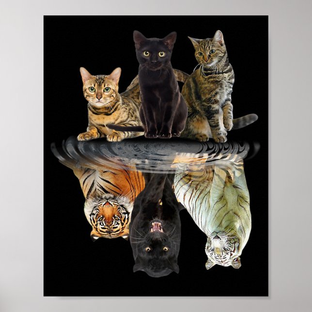 Cats Reflection Friend Cat Lovers Cute Tiger Poster (Front)