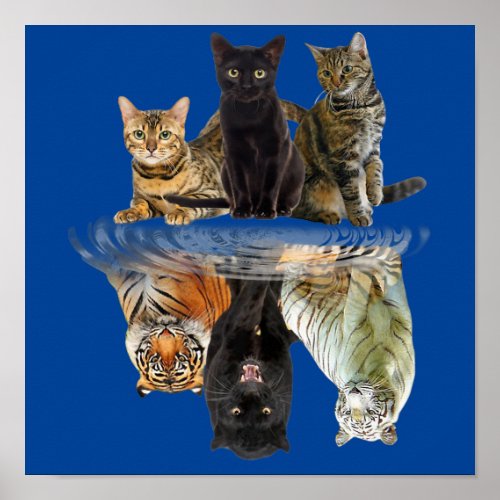 Cats Reflection  Friend Cat Lovers Cute Tiger Poster