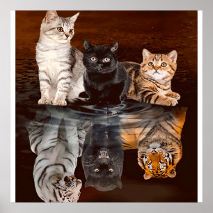 Cats Reflection Water, Funny Cats Gift Idea Poster