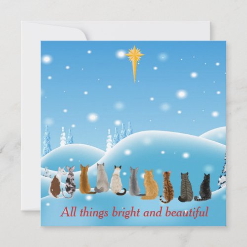 Cats Religious Star All Things Animals Holiday Card