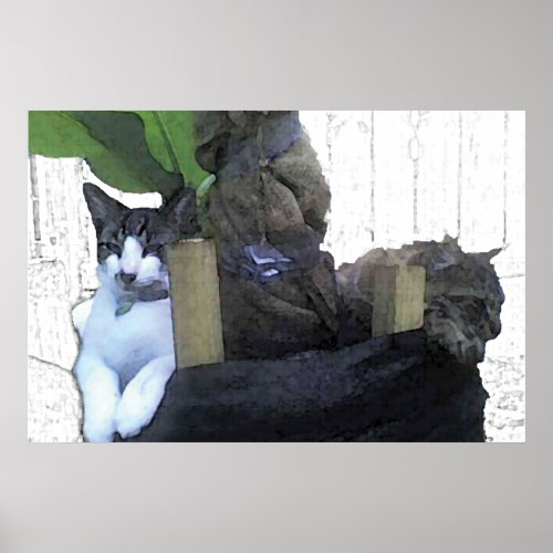 Cats Resting in a Banana Tree Poster