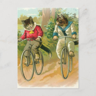Cats Riding Bikes Postcard