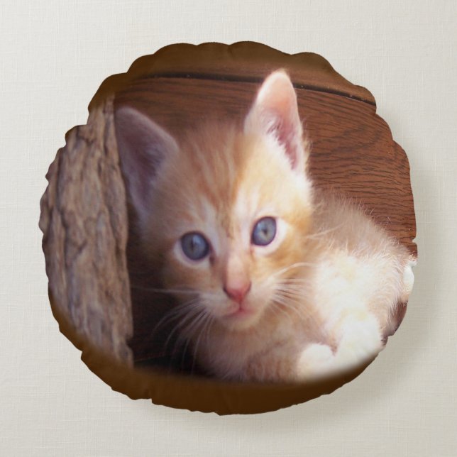 Cats Round Pillow (Front)