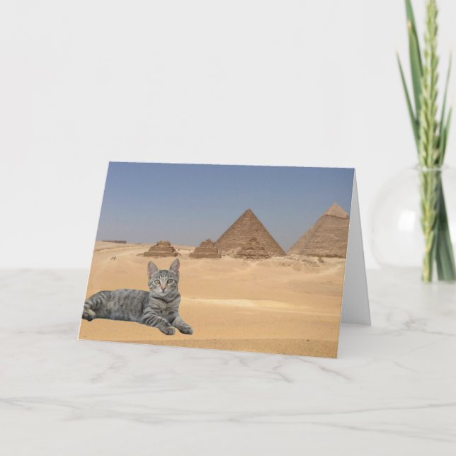 Cats Rule! Card (Front)