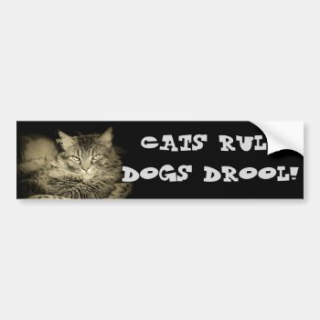 Cats Rule Dogs Drool Bumper Cat Bumper Sticker by talkingbumpers at Zazzle