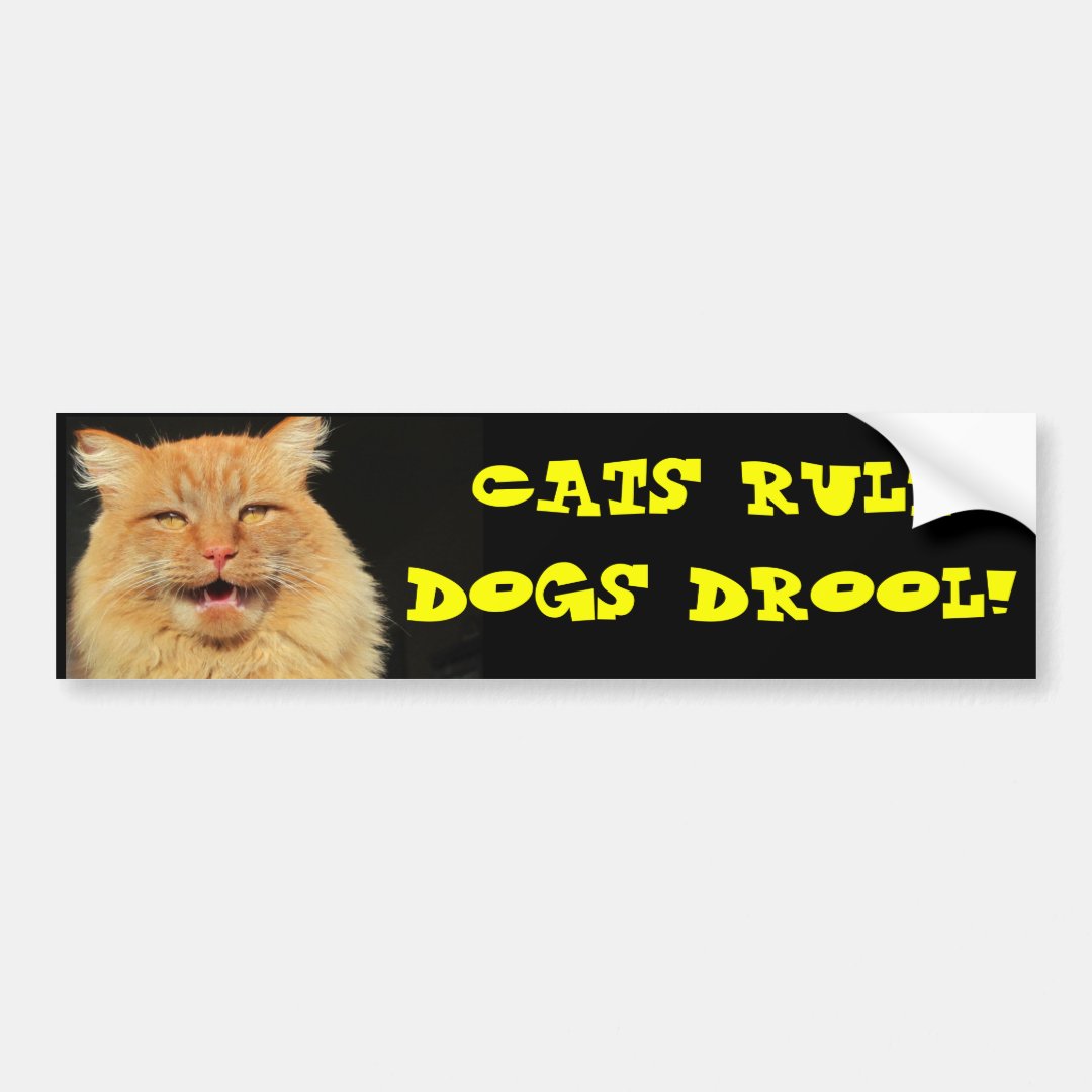 Cats rule Dogs Drool Bumper Sticker Zazzle