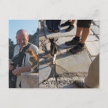 Cat&#39;s Rule in Ephesus Postcard