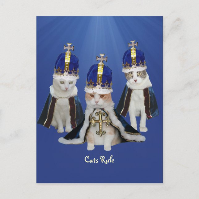 Cats Rule Postcard (Front)