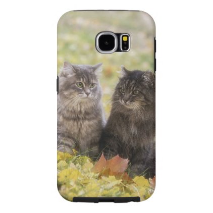 Cats Samsung Galaxy S6 Case