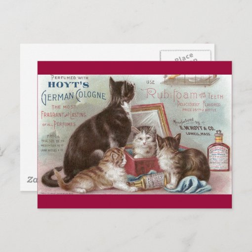 Cats Selling Cologne Victorian Trade Card | Zazzle