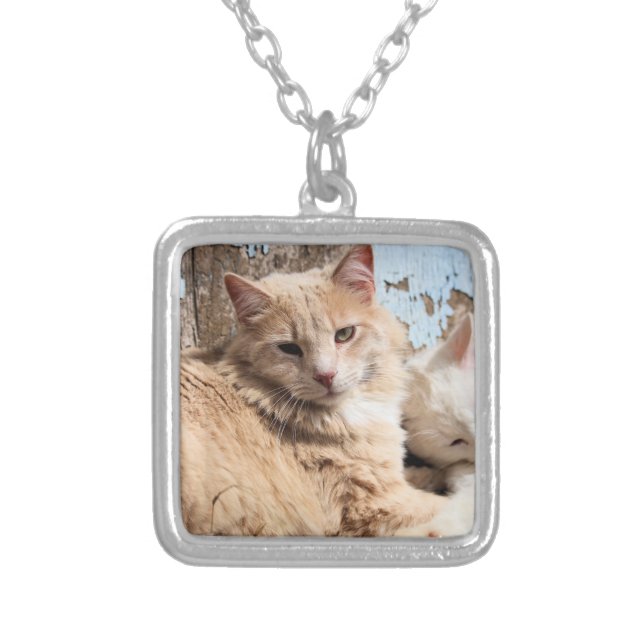 Cats Silver Plated Necklace (Front)