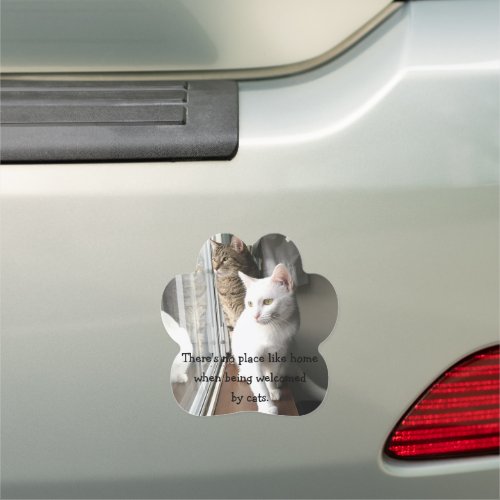Cats Sitting by the Window Car Magnet