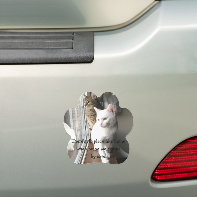 Cats Sitting by the Window Car Magnet (In Situ)