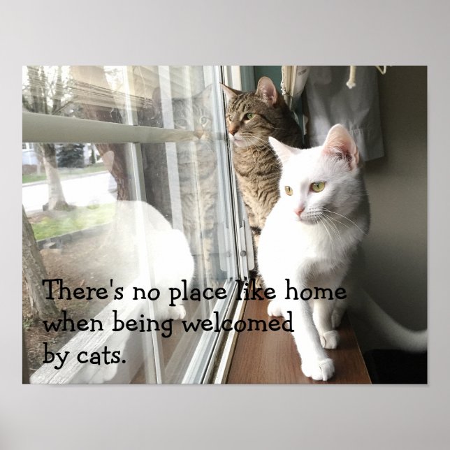 Cats Sitting by the Window Poster (Front)