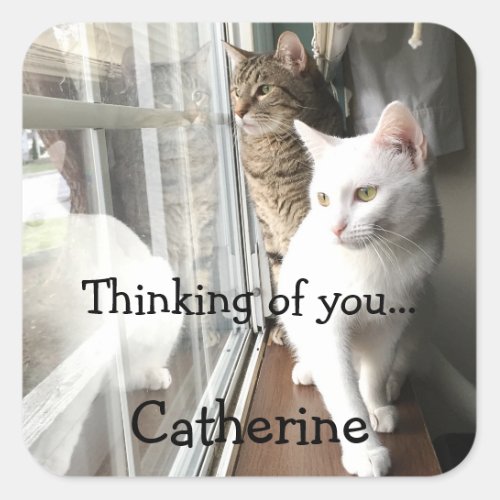 Cats Sitting by the Window Square Sticker