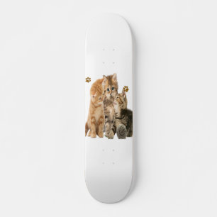 Cats Skateboard Deck