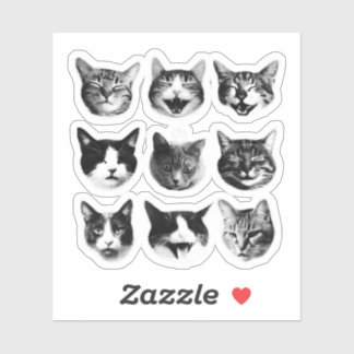 Cats Sticker