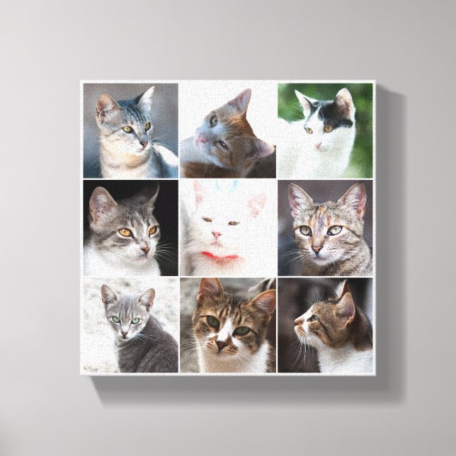 CATS - template Canvas Print (Front)