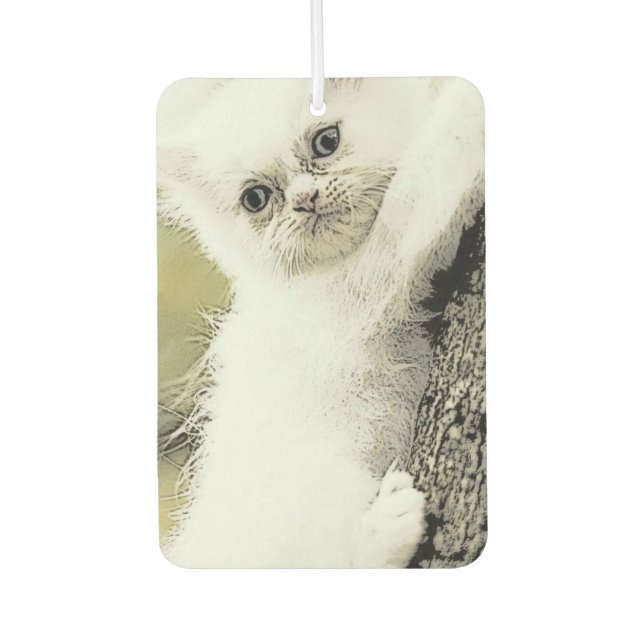 Cats, Tender, Little cat Air Freshener (Front)