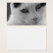 Cats Thoughts (Front & Back)