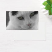 Cats Thoughts (Desk)