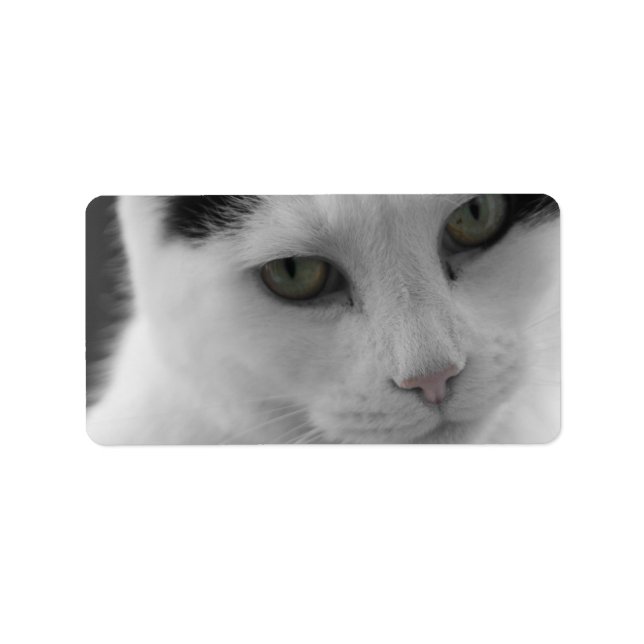 Cats Thoughts Label (Front)