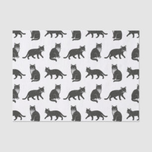 Cats Tissue Paper