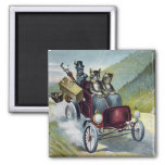 Cats Touring The Catskill Mountains Magnet at Zazzle