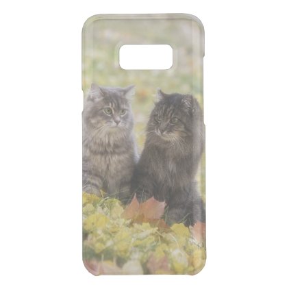 Cats Uncommon Samsung Galaxy S8+ Case