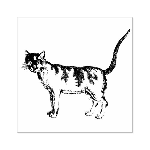 Cats Vintage Art  Rubber Stamp