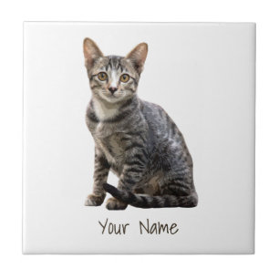 Cats Vintage Portrait Pet Tomcat Animal Design Ceramic Tile