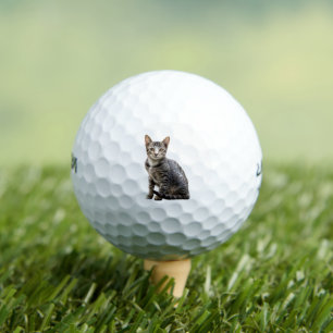 Cats Vintage Portrait Pet Tomcat Animal Design Golf Balls