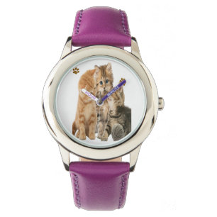 Cats Watch