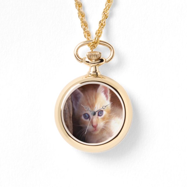 Cats Watch (Front)