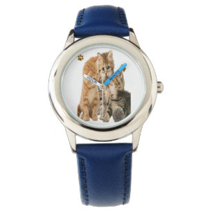 Cats Watch