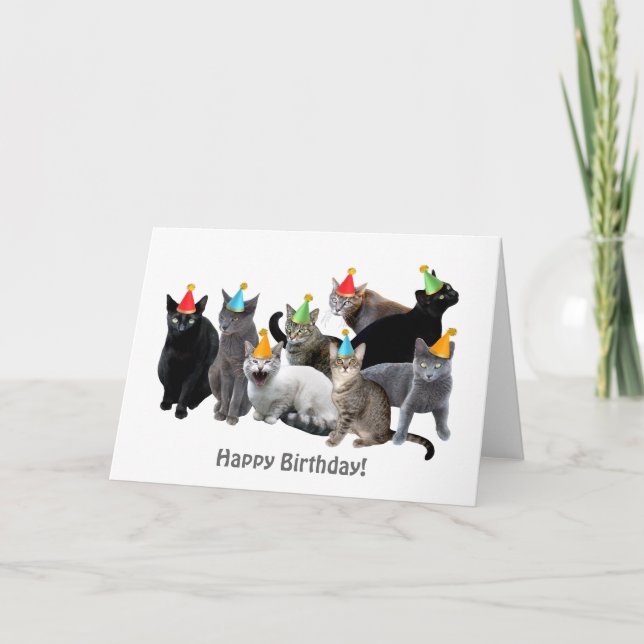 Cats Wearing Party Hats Birthday Card (Front)