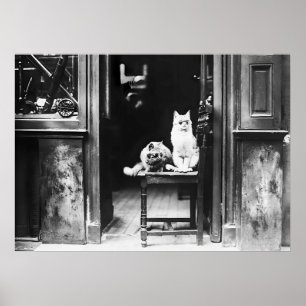 Cats Wearing Sunglasses, Black and White Vintage Poster