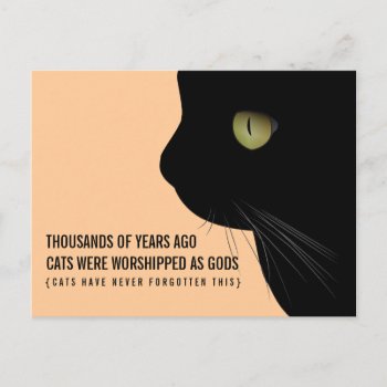 Cats Were Worshipped As Gods Funny Postcard by quipology at Zazzle