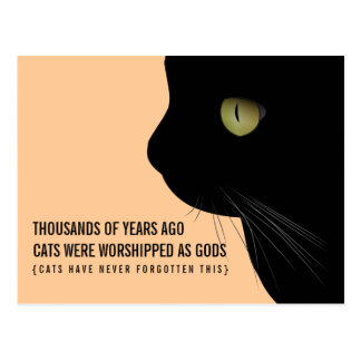 Cats Were Worshipped as Gods Funny Postcard