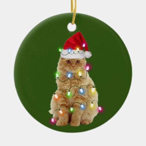 Cats With Hat Lights Christmas Ceramic Ornament